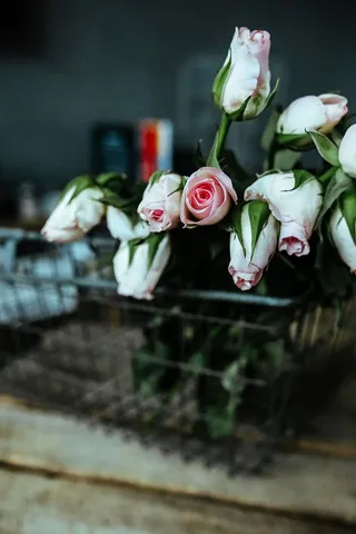 金属篮子里的粉红色花朵