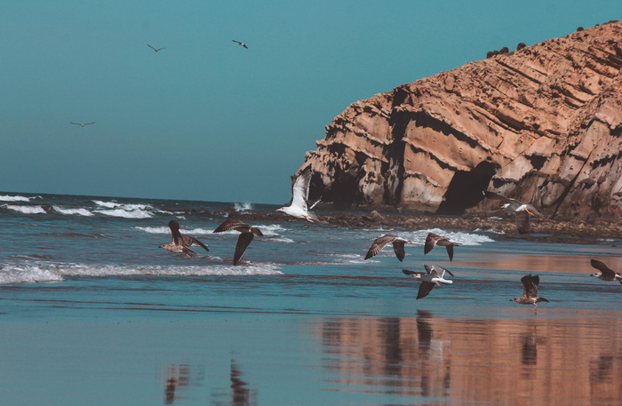 摩洛哥, asilah, 海滩, rmilat, 地方, 波浪, 蓝色, 颜色