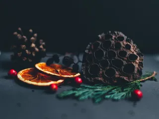 特写照片，绿色，棕色，植物，低，光，近景，摄影