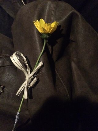 花，浪漫，约会，爱情，花，浪漫，黄色，开花植物