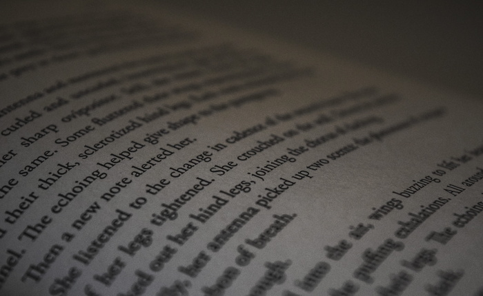 加拿大, 渥太华, 纸, 论文, 书籍, 文学, 6k, 脆