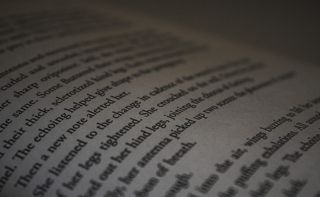 加拿大, 渥太华, 纸, 论文, 书籍, 文学, 6k, 脆