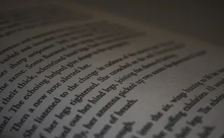 加拿大, 渥太华, 纸, 论文, 书籍, 文学, 6k, 脆