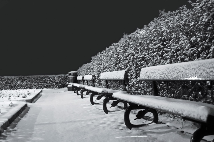 雪、雪、霜、季节、长凳、长凳、黑色、白色
