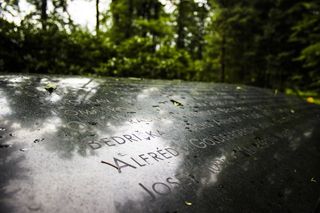 纪念碑，石头，罗伊诺夫，受害者，第一次世界大战，石头，文字，西文