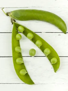 白色表面上的绿色豌豆 白色表面上的绿色豌豆