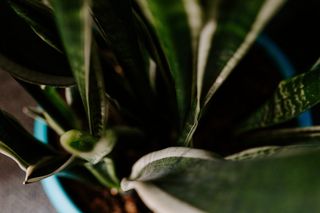 营销、办公室、商务、大堂、候车室、候车区、前室、办公楼