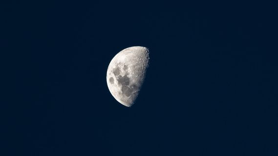 半月,月亮,太空,望远镜,天体摄影,夜晚,天文学,天空 半月,月亮,太空,望远镜,天体摄影,夜晚,天文学,天空