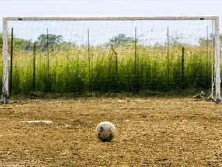 球，足球，足球，圆形，草地，杆子，踢，踢