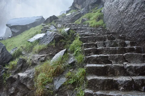 迷雾小径,美国,春天的秋天,迷雾,小径,石头,石阶,森林 迷雾小径,美国,春天的秋天,迷雾,小径,石头,石阶,森林