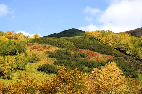 秋天,山,云,森林,树,桦树,秋天的颜色,草 秋天,山,云,森林,树,桦树,秋天的颜色,草
