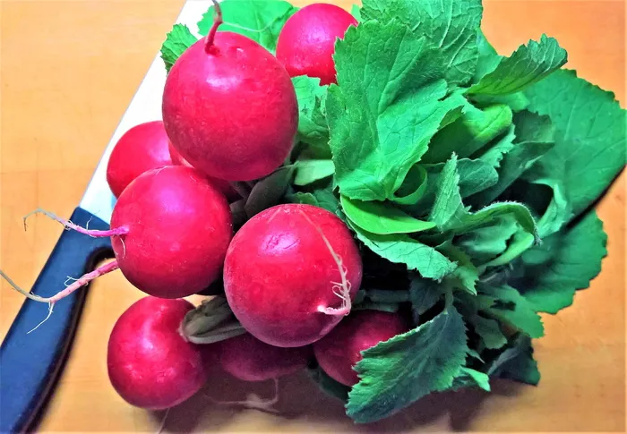 萝卜, 蔬菜, 沙拉, 生食, 红, 脆, 新鲜, 略尖