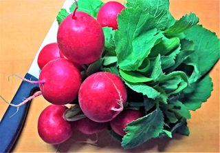 萝卜, 蔬菜, 沙拉, 生食, 红, 脆, 新鲜, 略尖