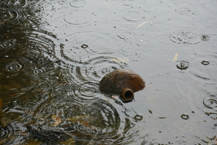 河，雨滴，壶，锅，洪水，雨，水，涟漪