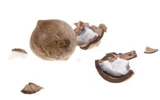 椰子，椰子，椰子，椰子，椰子，白，水果，背景