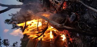 澳大利亚, ​​Kowen, 无名路, 晚上, 木, 烧伤, 火, 火焰