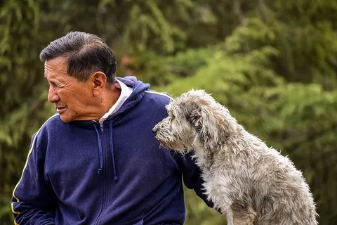 老人,狗,老人和他的狗,宠物和主人,一种动物,哺乳动物,宠物,家畜 老人,狗,老人和他的狗,宠物和主人,一种动物,哺乳动物,宠物,家畜