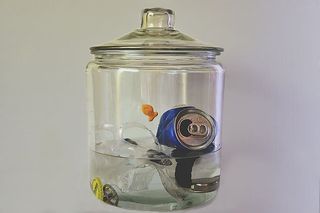 美国，弯曲，垃圾，动物，赝品，水，信息，插图