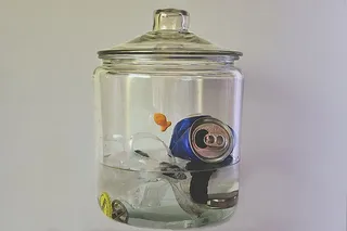 美国，弯曲，垃圾，动物，赝品，水，信息，插图