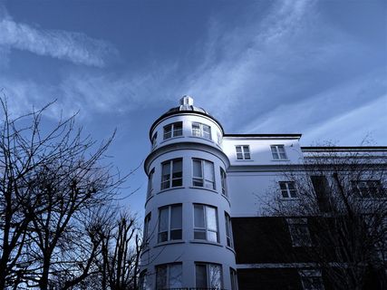 四层白色豪宅，四周是秃顶的树木