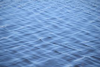 在美国，佛罗里达州塔拉哈西的圣马克灯塔，克劳福德维尔，自然，和平