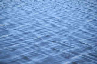 在美国，佛罗里达州塔拉哈西的圣马克灯塔，克劳福德维尔，自然，和平