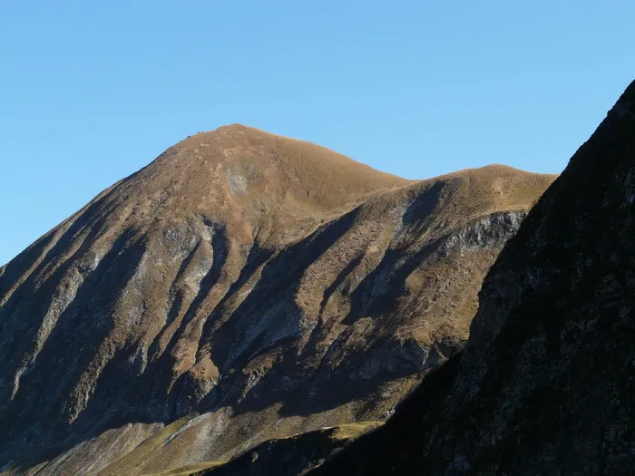 yoke top、horn bach yoke、mountain、grassy knoll、oytal、allgäu、allgäu alps、alpine