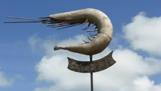 greetsiel、east frisia、crab、sky、动物表示法、cloud-sky、表示法、文本