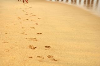 海滩上的脚印