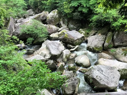 岩石,上游,河流,固体,岩石-物体,植物,树木,自然之美 岩石,上游,河流,固体,岩石-物体,植物,树木,自然之美