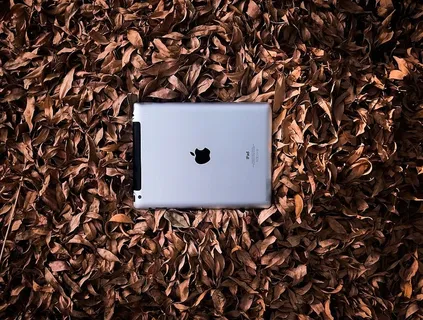 树叶、秋天、ipad、苹果、技术、设备、产品、flatlay