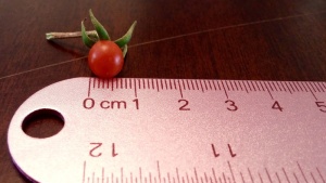 红樱桃番茄，番茄，小番茄，尺子，红色，食物，水果，樱桃