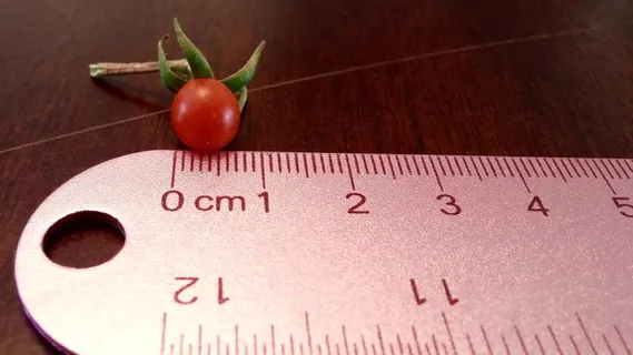 红樱桃番茄,番茄,小番茄,尺子,红色,食物,水果,樱桃 红樱桃番茄,番茄,小番茄,尺子,红色,食物,水果,樱桃
