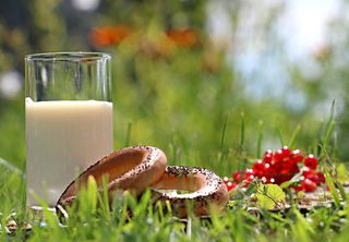 照片，甜甜圈，牛奶，顶部，绿色，草地，白天，玻璃