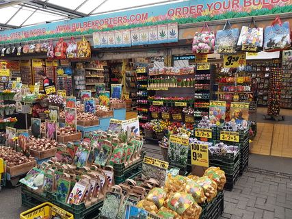 阿姆斯特丹，荷兰，城市，花卉，市场，零售，选择，变化