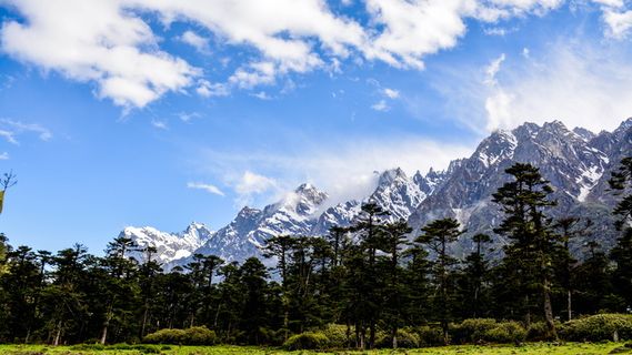 雾，森林，绿色，高，山，景观，山，山峰