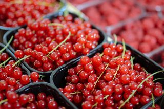 黑色容器上的樱桃水果批次