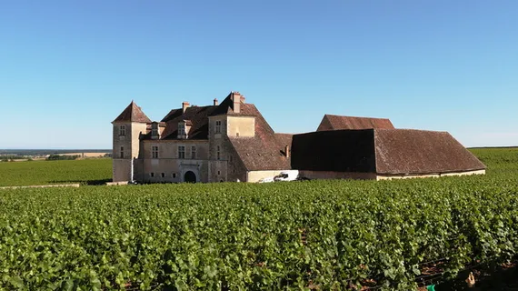 棕色，砖砌房屋，四周环绕，草地，白天，法国勃艮第clos de vougeot城堡