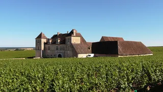 棕色，砖砌房屋，四周环绕，草地，白天，法国勃艮第clos de vougeot城堡