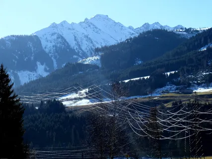 电线杆,电力线,高压能源,加固,低温,冬季,树木,雪 电线杆,电力线,高压能源,加固,低温,冬季,树木,雪