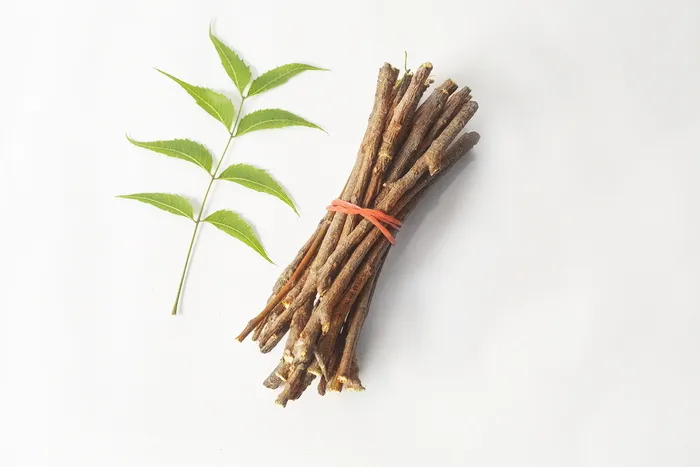 阿育吠陀, 阿育吠陀草药, 美, 科, 咀嚼, 牙科, 牙科保健, 新鲜