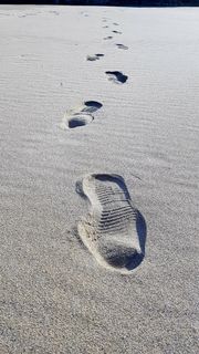 海滩、脚印、沙滩、跟随足迹、小径、休息、海岸、自然