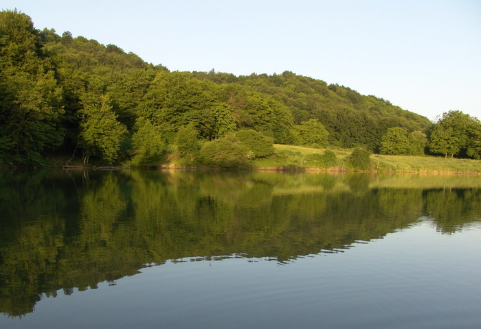 goreng湖，kazbekovskiy区，达吉斯坦，倒影，水，树，湖，风景-自然