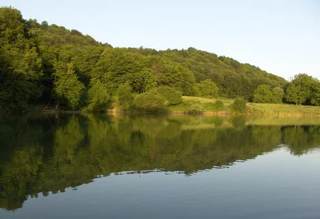 goreng湖,kazbekovskiy区,达吉斯坦,倒影,水,树,湖,风景-自然 goreng湖,kazbekovskiy区,达吉斯坦,倒影,水,树,湖,风景-自然