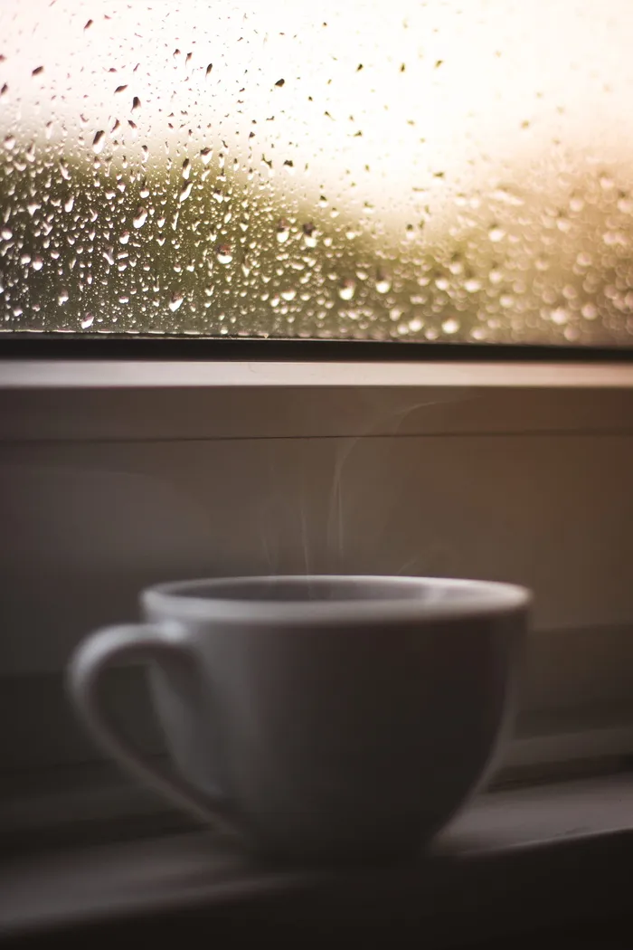 水露水在窗户上的选择性聚焦