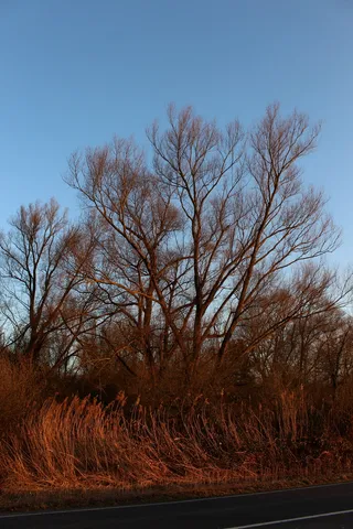 <!DOCTYPE html>
<html>
    <head>
        <title>文件“C:log.txt”正由另一进程使用，因此该进程无法访问此文件。</title>
        <meta name="viewport" content="width=device-width" />
        <style>
         body {font-fam