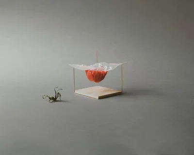 瑞士、苏黎世、番茄、汤、工业设计、产品、铜、木材