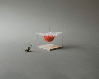 瑞士、苏黎世、番茄、汤、工业设计、产品、铜、木材