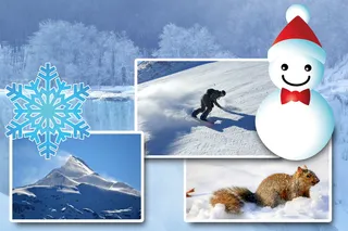 冬季、一年中的某个时间、装饰、雪花、模切、压力、饰面、圣诞节