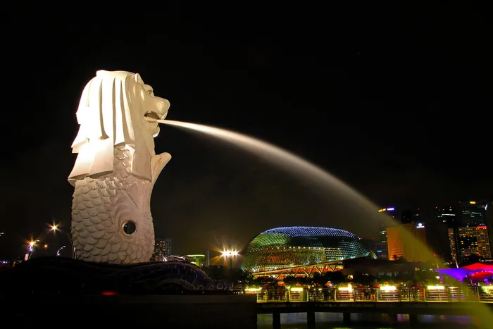 美人鱼狮子，新加坡，美人鱼狮子，新加坡，城市，夜晚，新加坡，城市，照明，长曝光